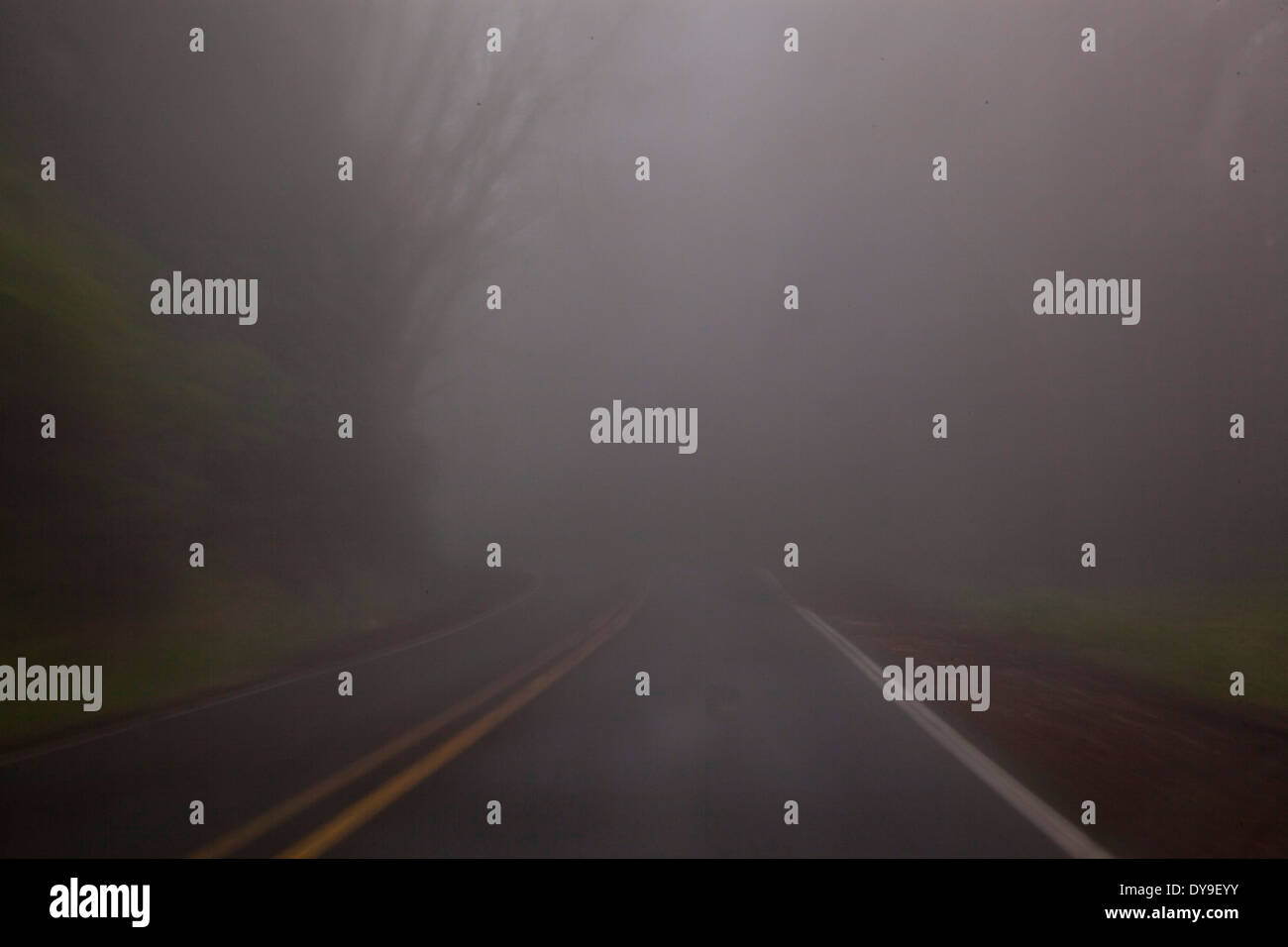 Un buio, piovoso, foggy road, vicino a Cape Lookout, Oregon Coast, Stati Uniti Foto Stock