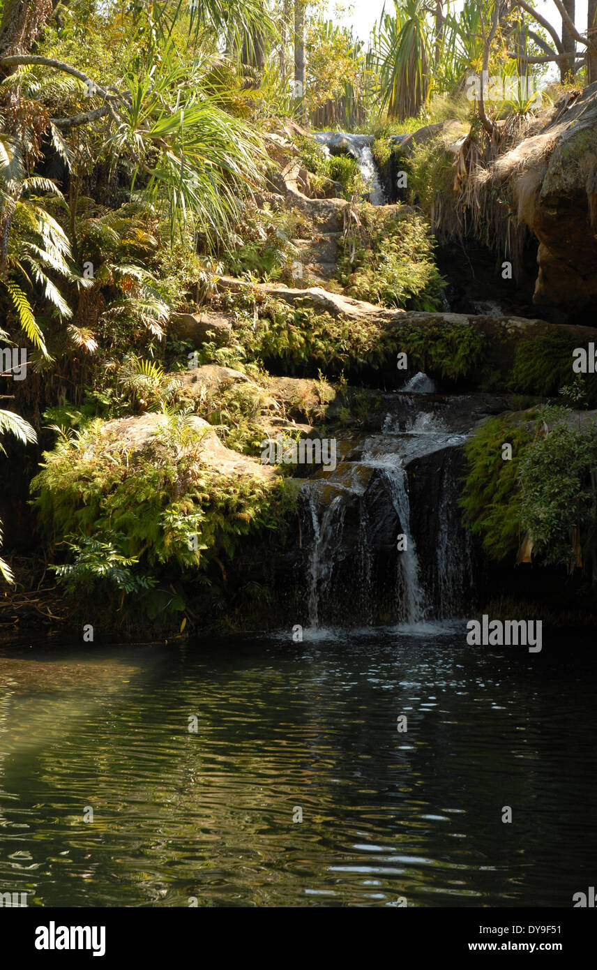 Isalo National Park, Madagascar. La piscine naturelle, una piscina naturale o oasi in molto terreno asciutto. Foto Stock