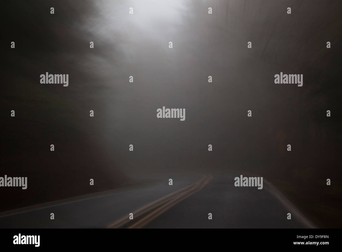 Un buio, piovoso, foggy road, vicino a Cape Lookout, Oregon Coast, Stati Uniti Foto Stock