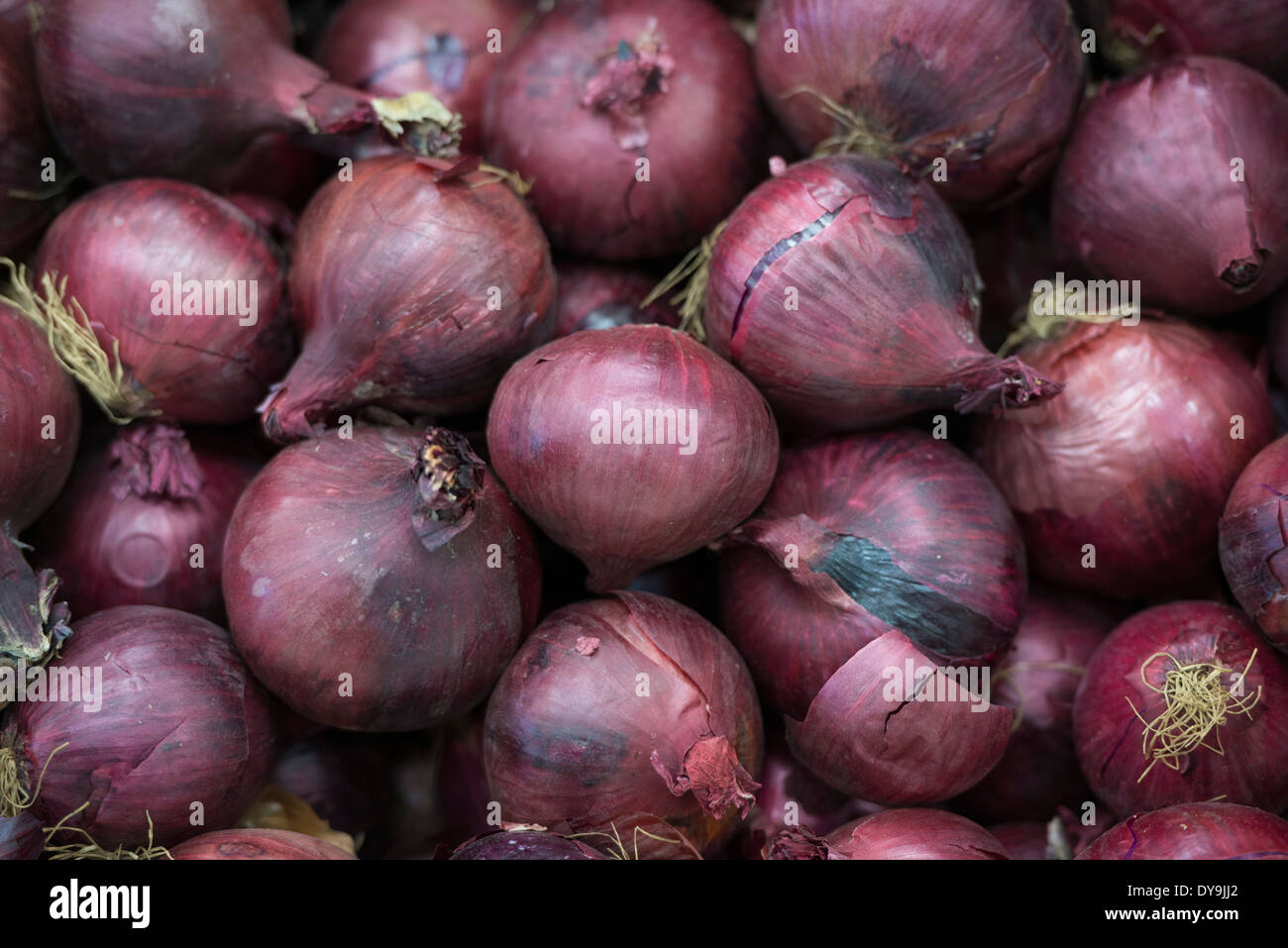 Le cipolle rosse sul display in un supermercato Foto Stock