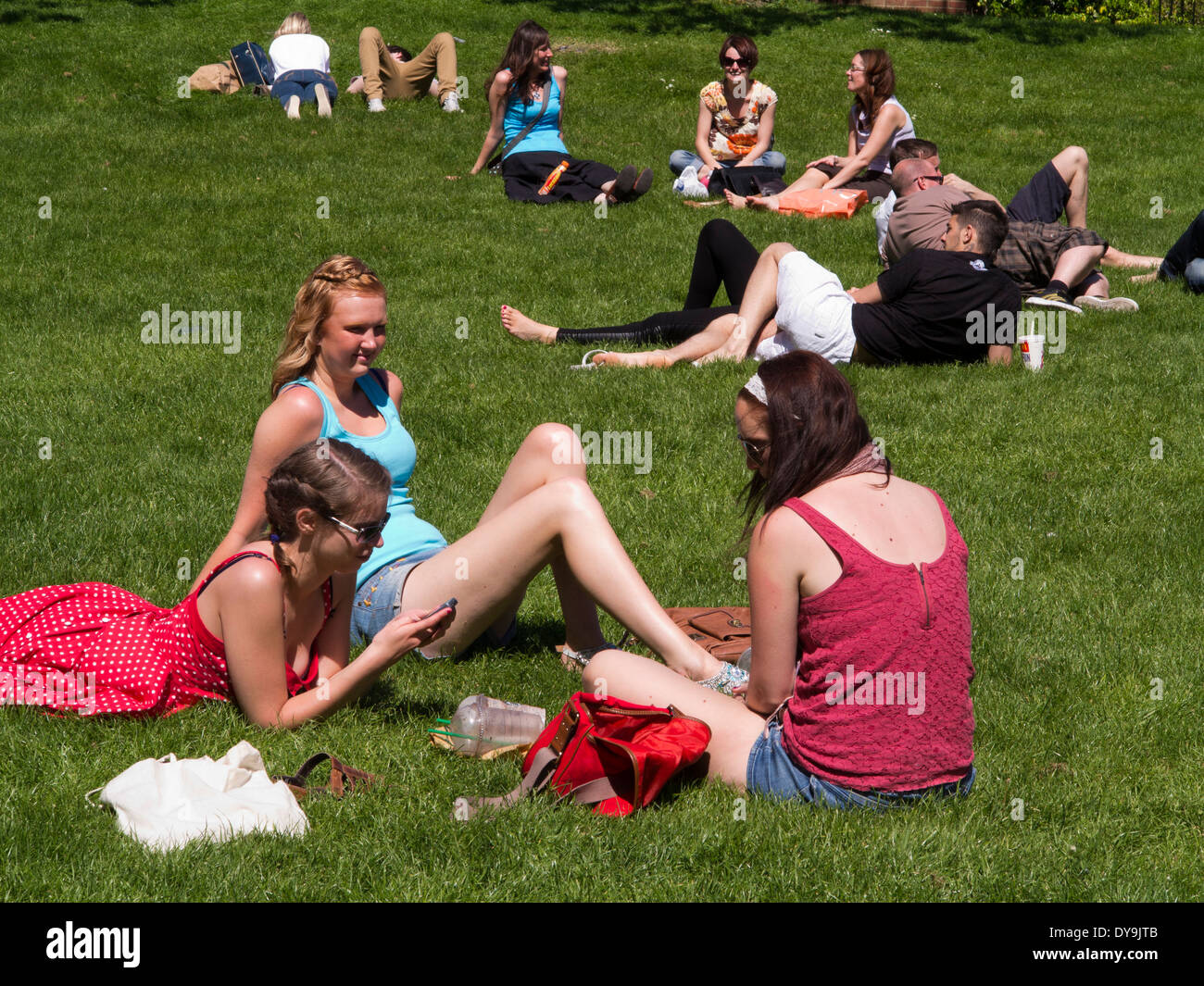 Regno Unito, Inghilterra, Norfolk, Norwich, lucertole da mare su Castle Green Foto Stock