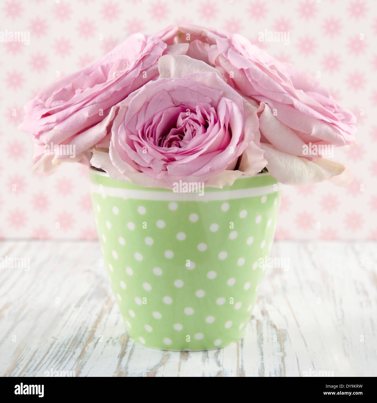 Le rose rosa in un verde vase polkadot su vintage in legno bianco shabby chic di sfondo Foto Stock