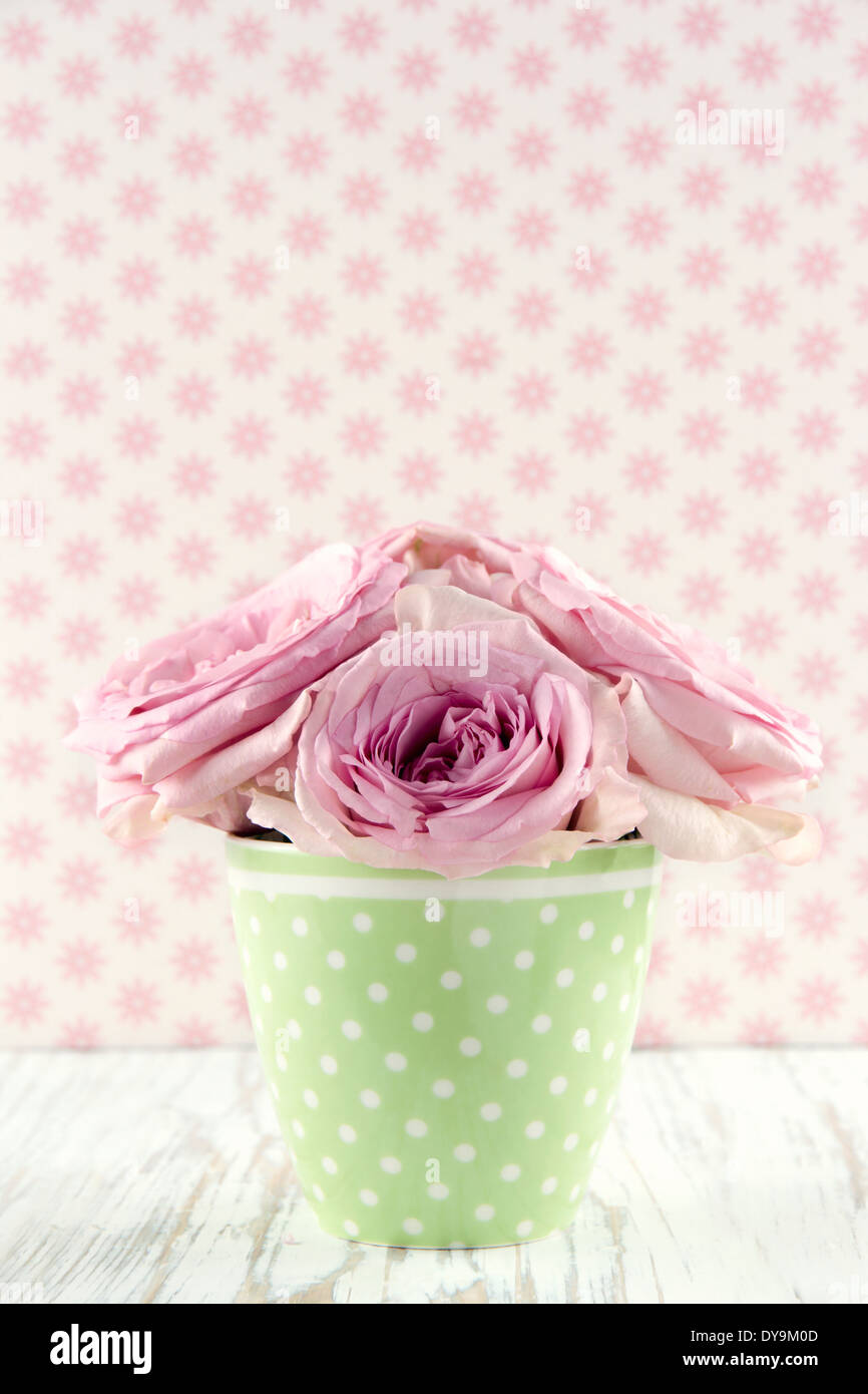 Le rose rosa in un verde vase polkadot su vintage in legno bianco shabby chic di sfondo Foto Stock