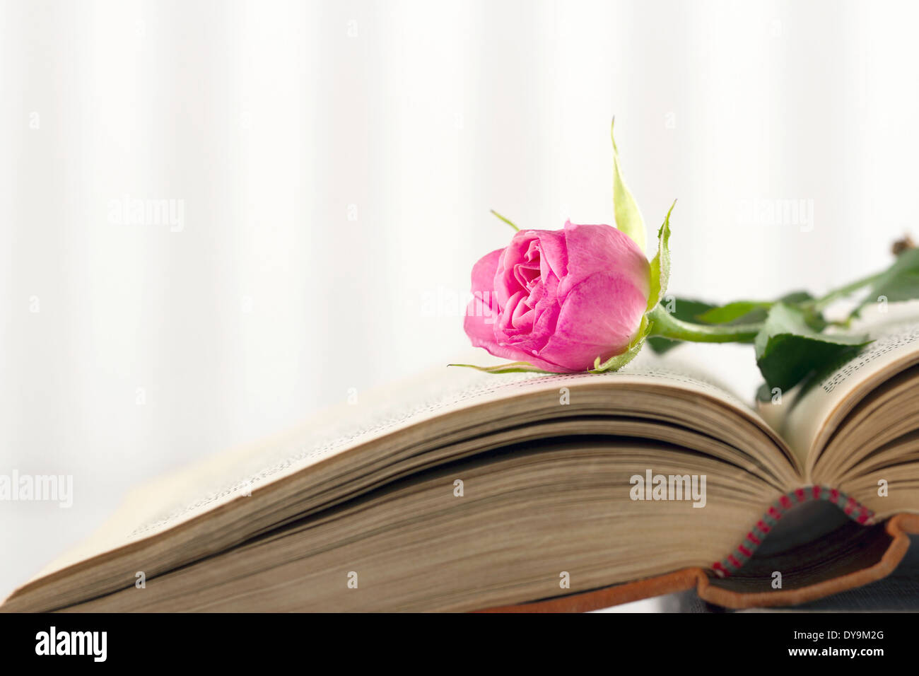 Libro aperto con singola rosa rosa su sfondo vintage Foto Stock