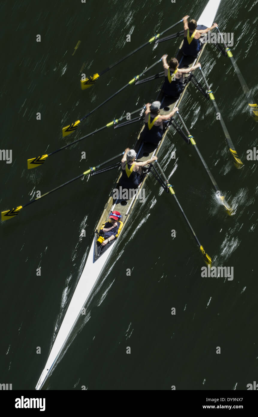Donne fours coxed barca in gara collegiale; motion blur. Foto Stock