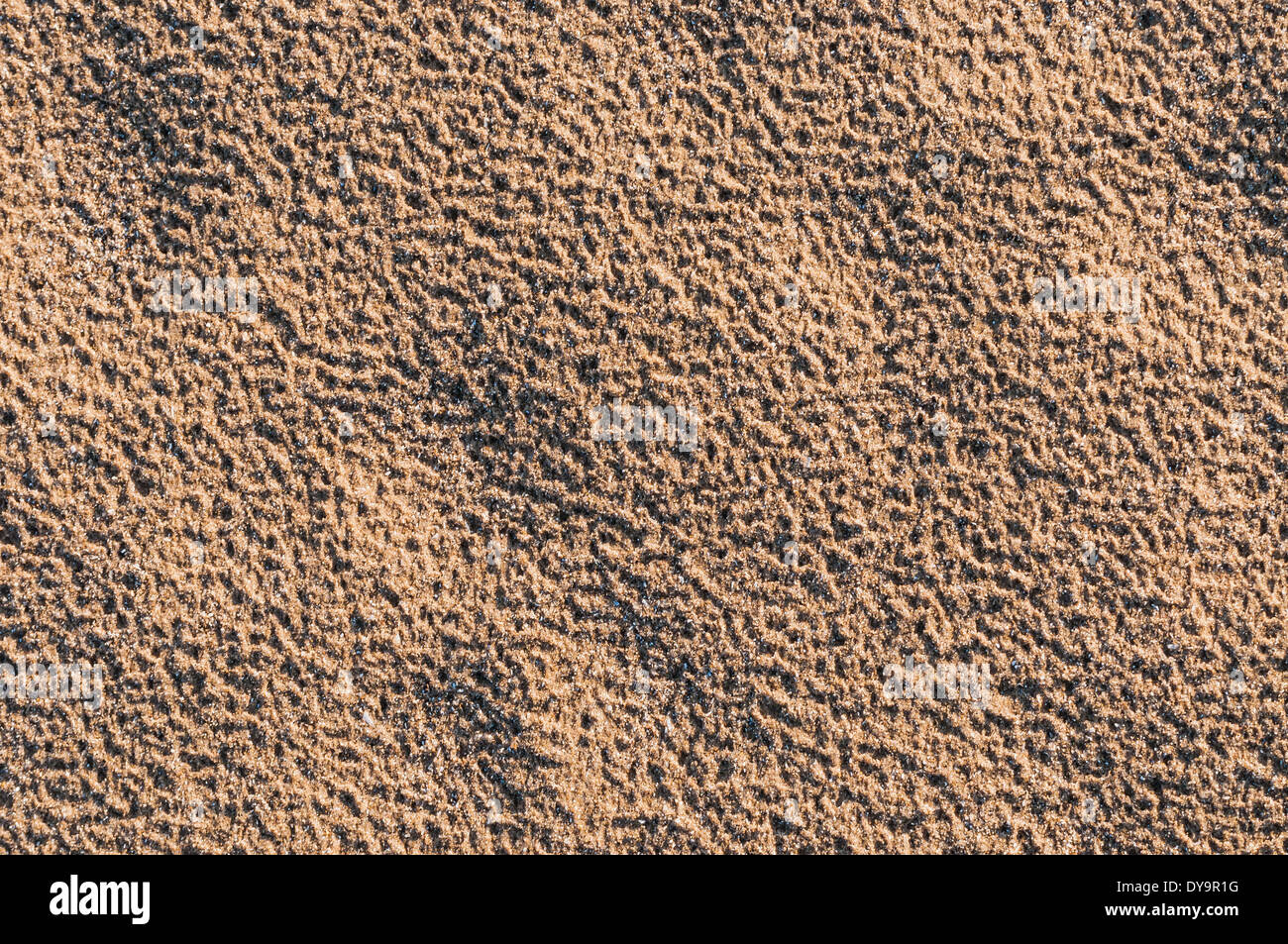 Una spiaggia sabbiosa macro immagine di sfondo spazio copia. Foto Stock