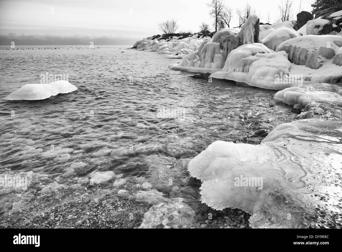 Paesaggio monocromatico di inverno lago Foto Stock