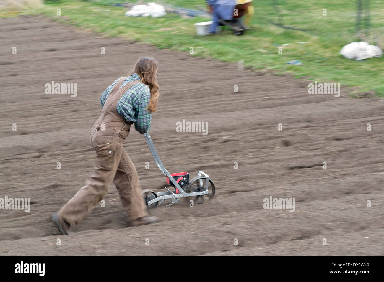 Agricoltore di piantare semi utilizzando un camminare dietro una seminatrice, Wallowa Valley, Oregon. Foto Stock