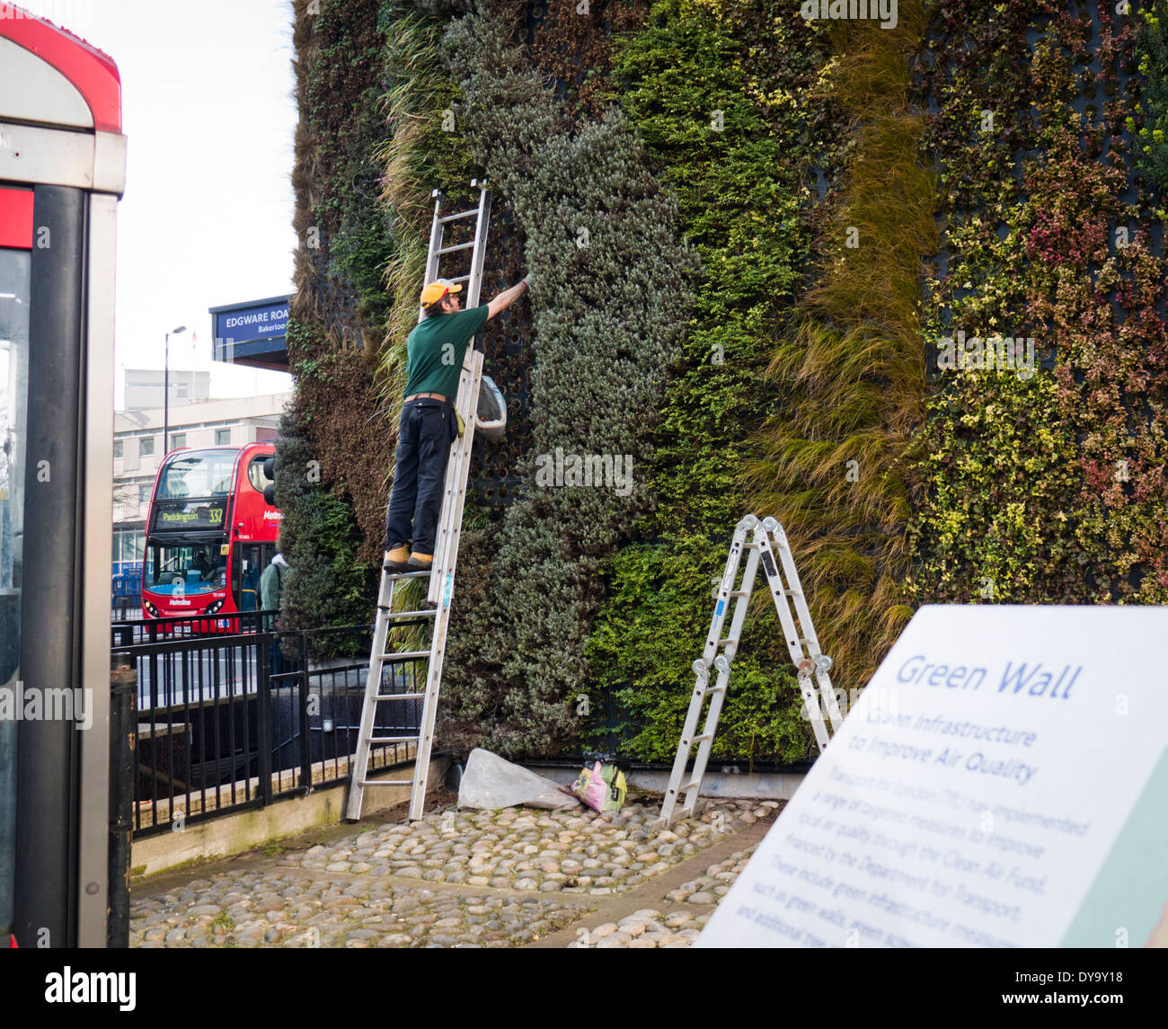 Una parete verde essendo piantato a Londra per migliorare la qualità dell'aria UK Foto Stock
