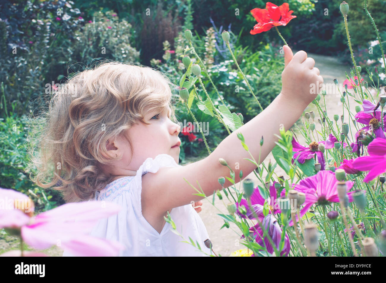 Bambina a caccia di fiori Foto Stock