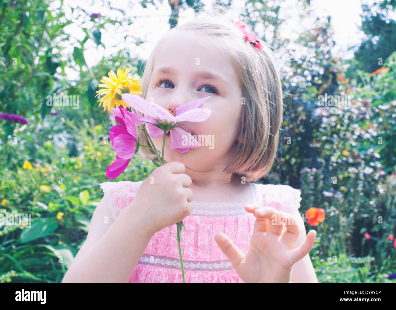 Bambina odore di fiore Foto Stock