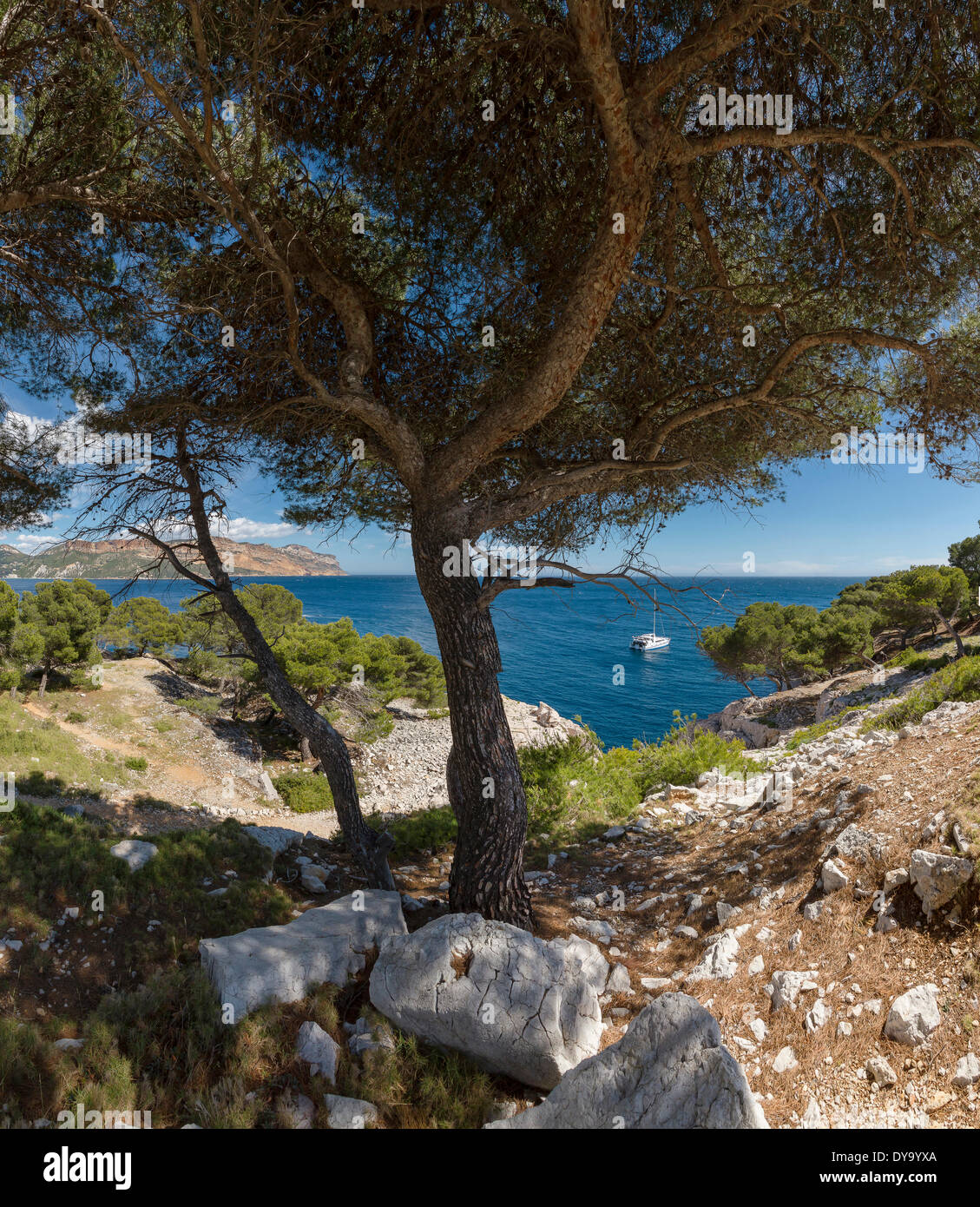 Visualizza Cap de Bon voyage paesaggio mediterraneo alberi acqua primavera Montagne mare navi barca Cassis Bouches du Rhone Francia UE Foto Stock