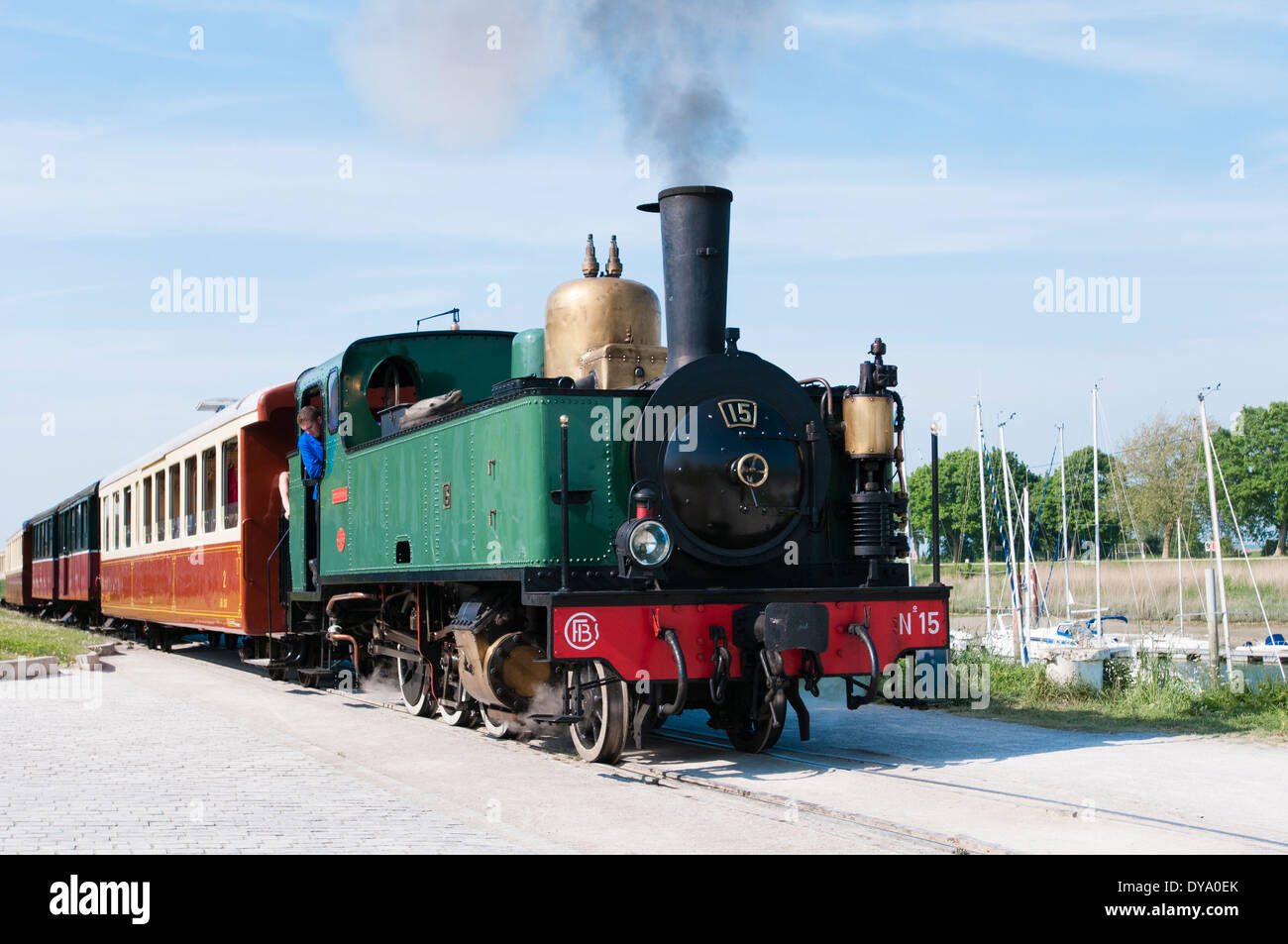 Francia, Côte Picarde, St Valery sur Somme. Treno a vapore sul Chemin de Fer de la Baie de Somme, Somme Bay ferrovia. Foto Stock