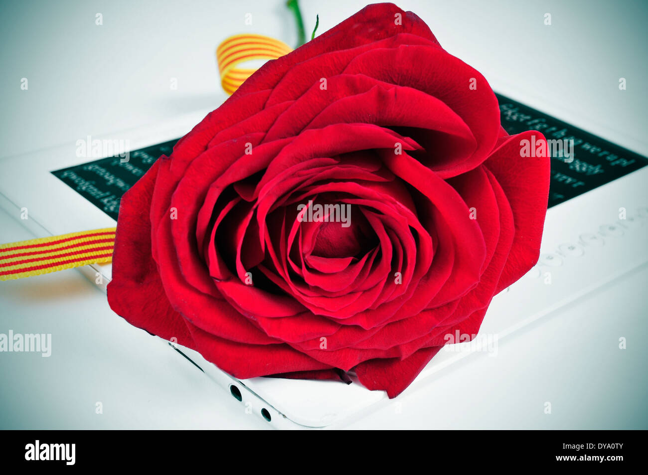 Una rosa rossa e un e-book, per Saint Georges giorno in Catalogna, Spagna, dove è tradizionale per dare una rosa rossa per le donne e una b Foto Stock