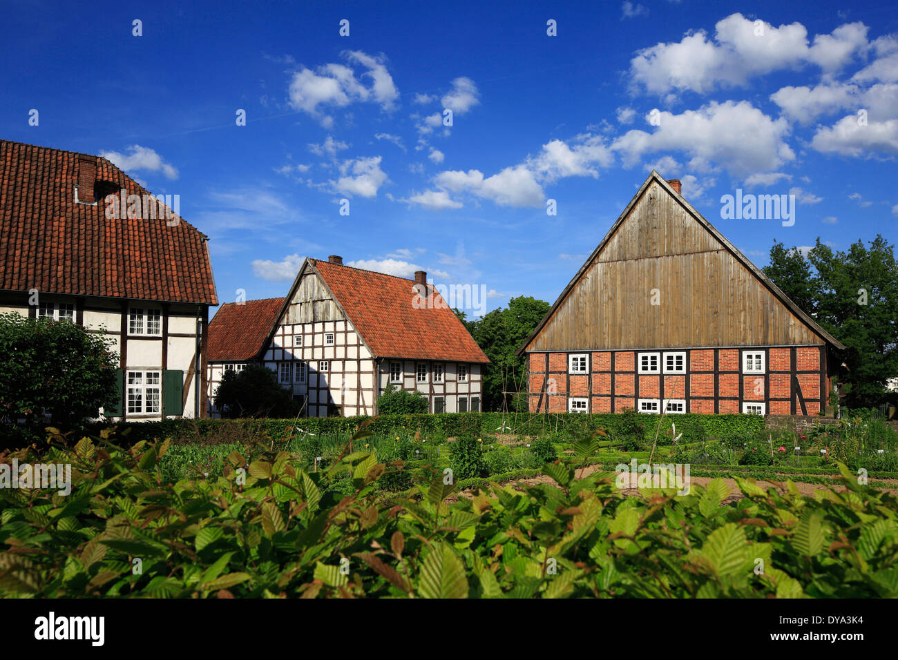 Germania Europa Detmold Werre della Foresta Teutoburg riserva naturale della Foresta Teutoburg Eggegebirge Ostwestfalen-Lippe Ostwestfalen Westph Foto Stock