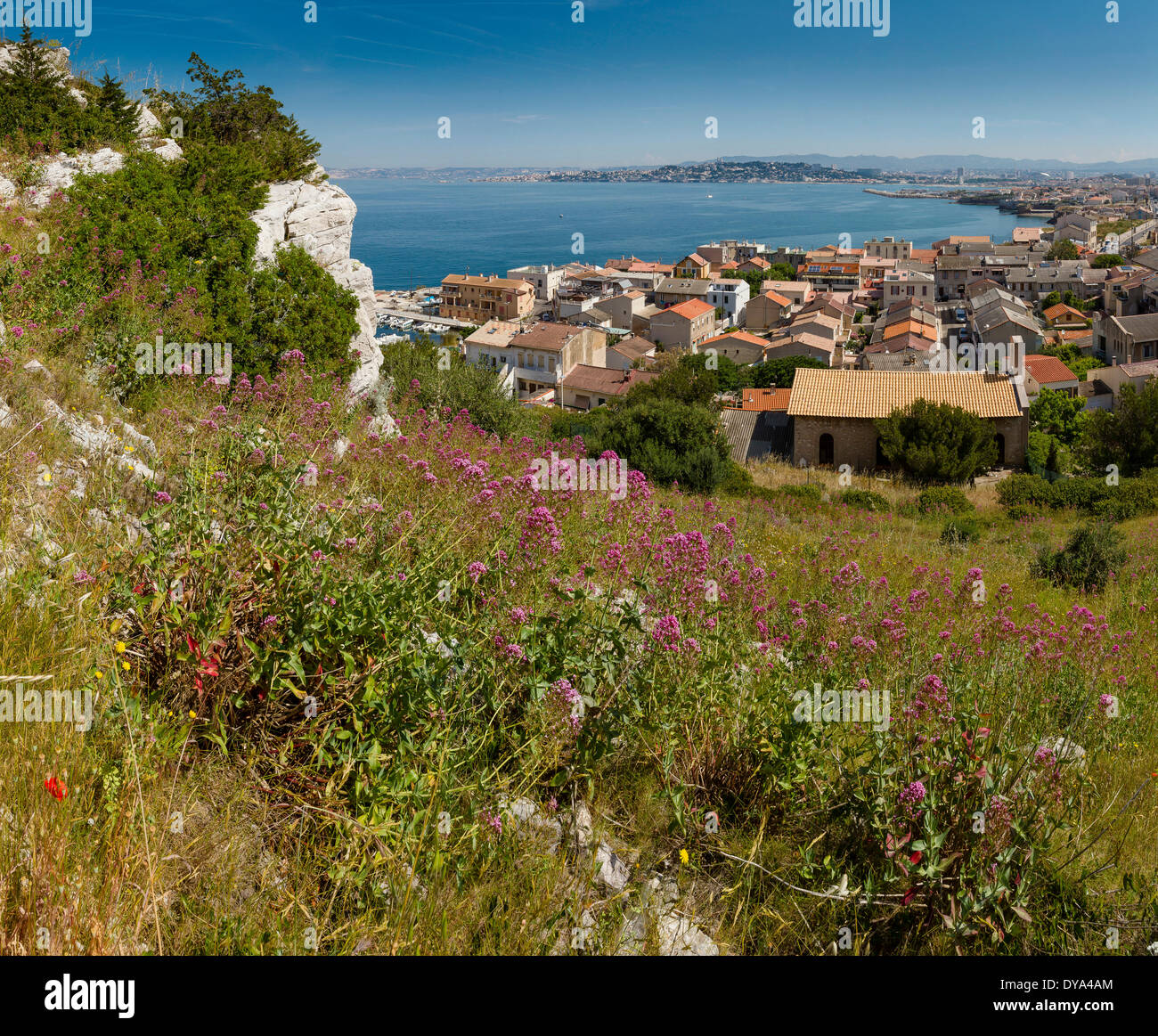 Vista, città, villaggio, campo, prato, fiori, estate, la montagna, il mare e La Madrague, Marsiglia, Bouches, Francia, Europa Foto Stock