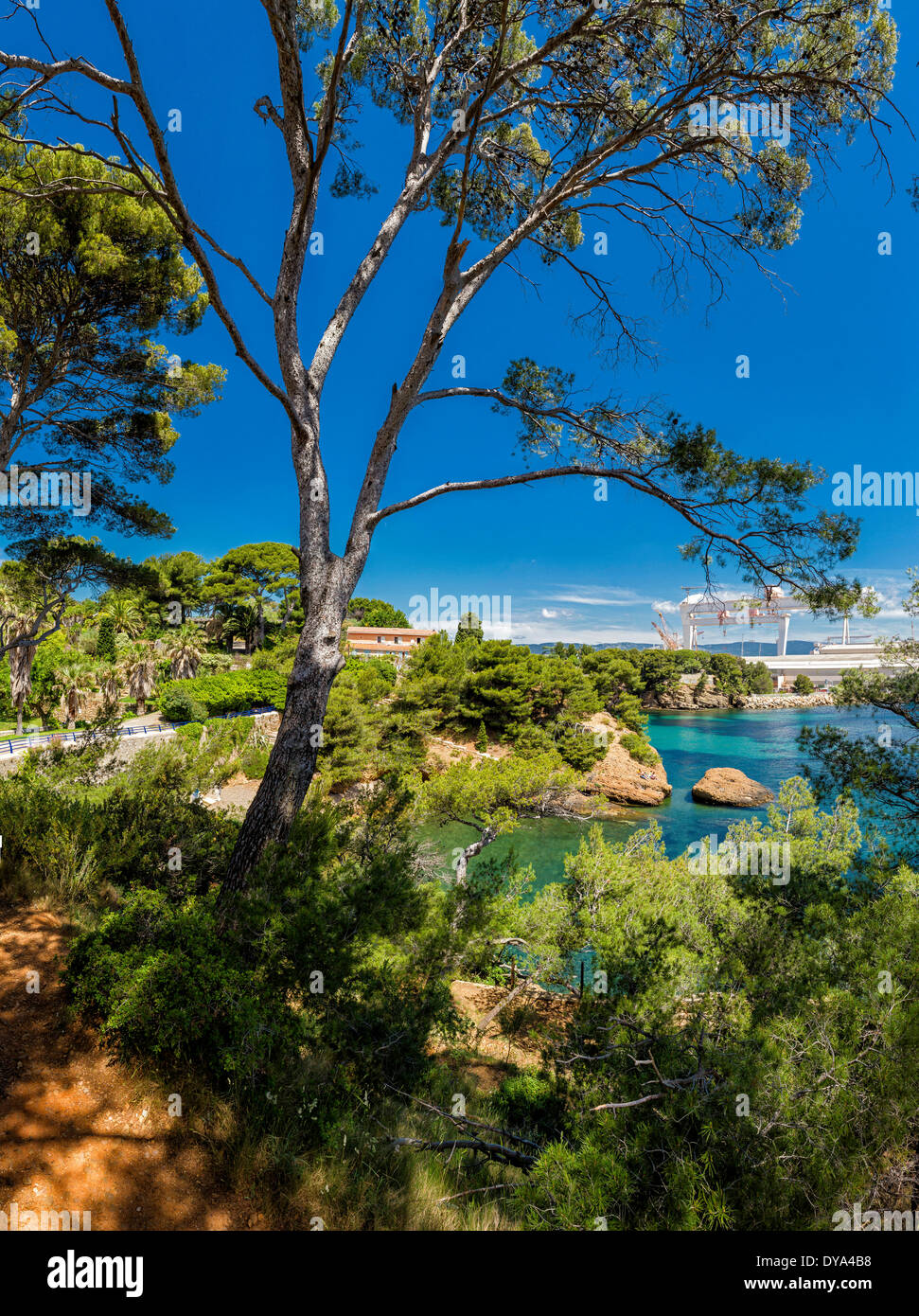 Anse du Petit Mugel, paesaggio, acqua, alberi, estate, montagna, mare, La Ciotat, Var, Francia, Europa Foto Stock