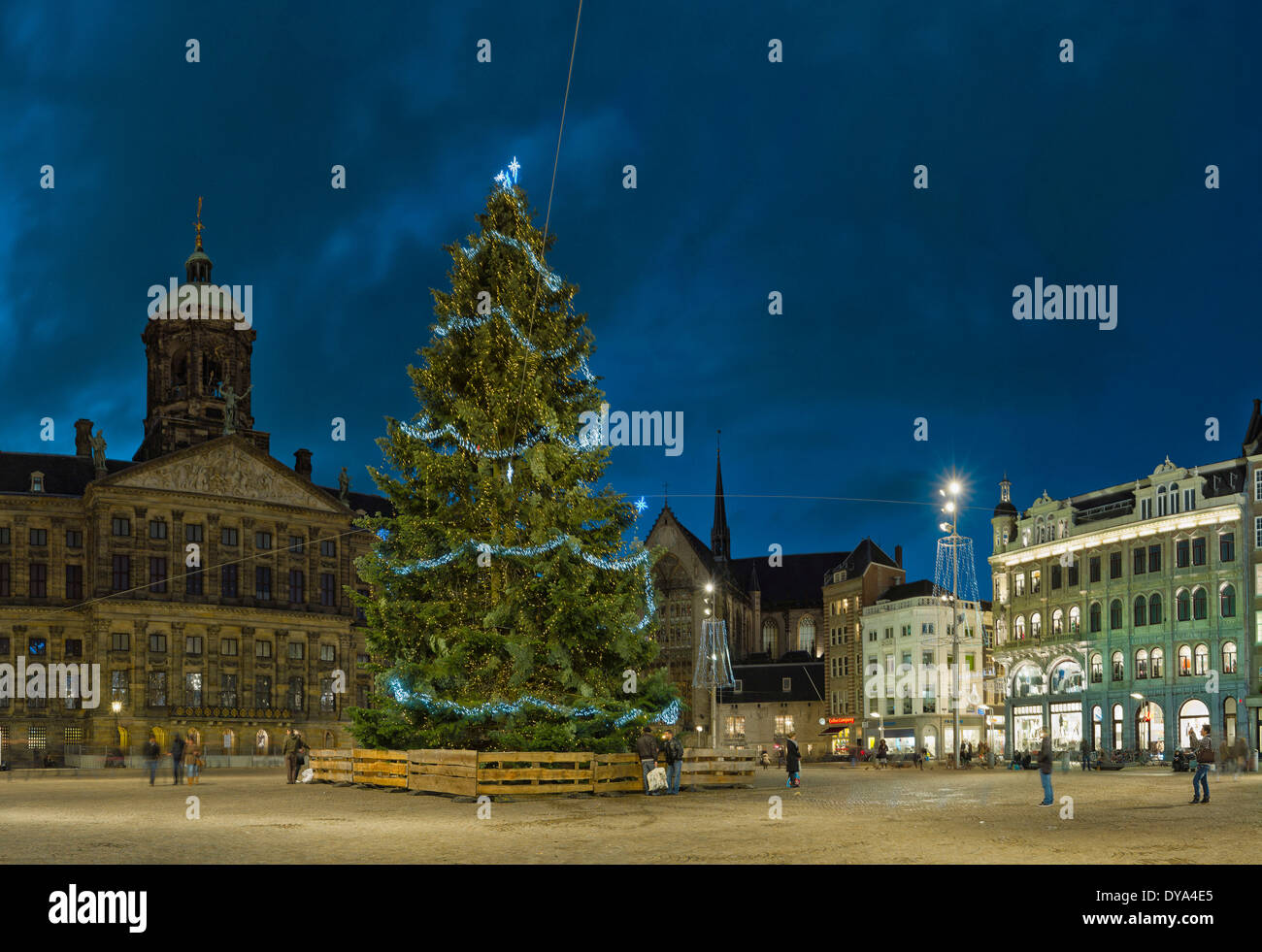 Paesi Bassi Olanda Europa Amsterdam North Holland villaggio città inverno la gente sera albero di Natale in piazza Dam notte, Foto Stock