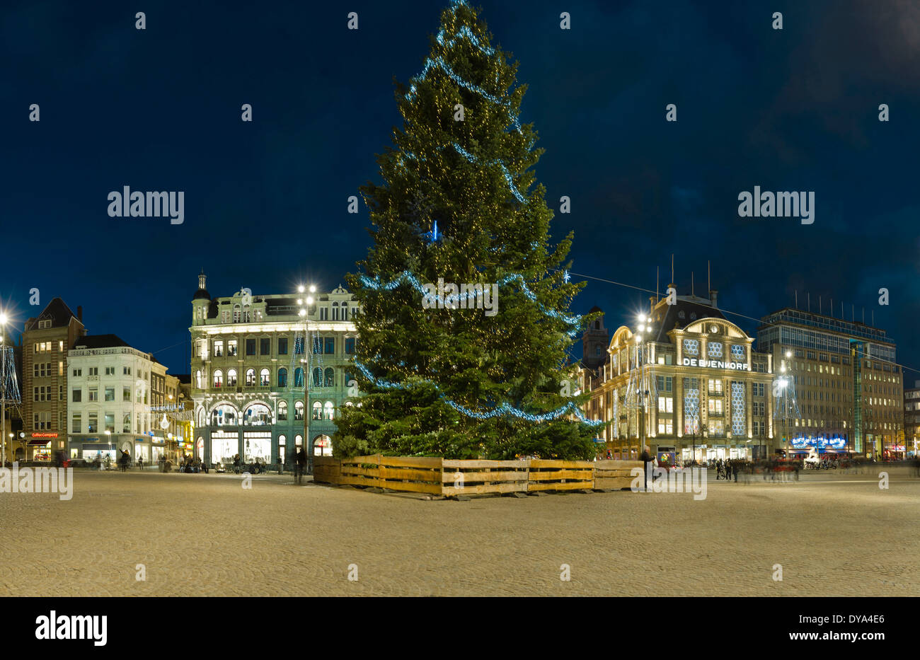 Paesi Bassi Olanda Europa Amsterdam North Holland villaggio città inverno la gente sera albero di Natale in piazza Dam notte, Foto Stock