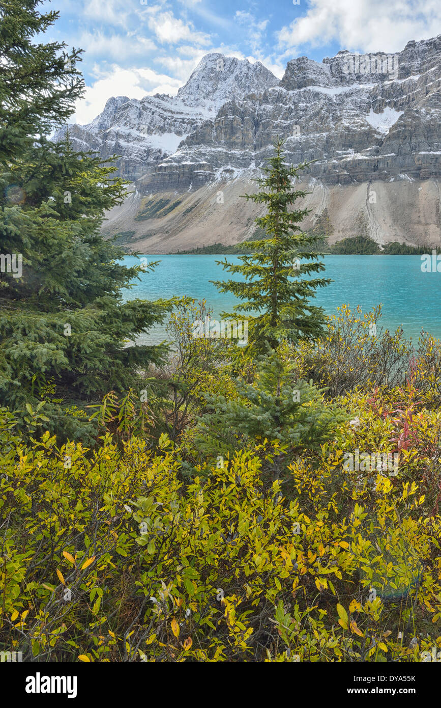 Nord America Canada Alberta Banff National Park paesaggio autunno autunno natura al Lago Bow Lake Icefield Parkway Rockies Rocky Mo Foto Stock