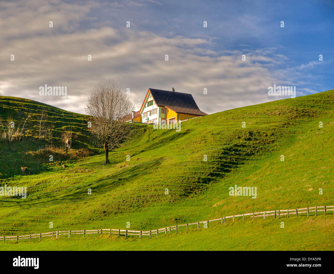 La Svizzera, Europa, Appenzell, fattorie, Gonten, verde siepe, hill, rurale, prato, Foto Stock