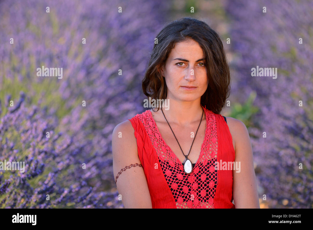 Europa Francia Provenza Vaucluse campo di lavanda donna abito rosso bloom floreale girl Brunette francese fiori fioritura Foto Stock