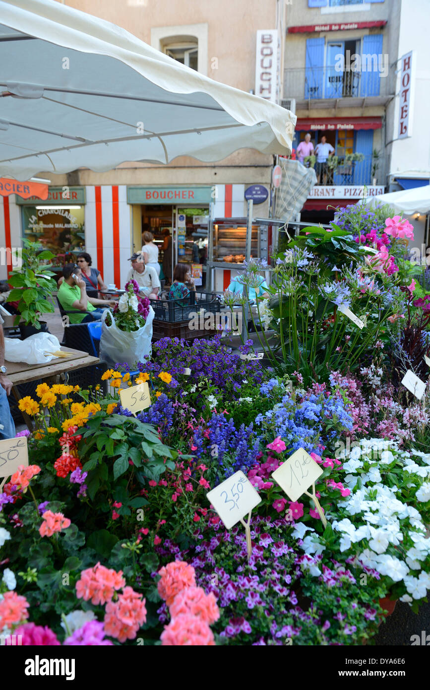 Europa, Francia, Sud, Provenza, Apt, Market, mercato dei fiori Foto Stock
