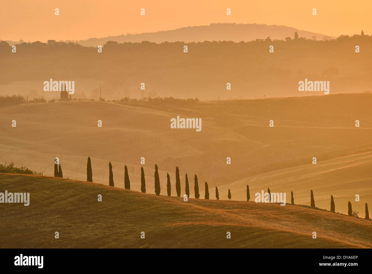 Europa Mediterraneo italiano italia Toscana provincia di Siena mattina presto umore nebbia nebbia nebbia mattutina alberi valle paesaggio co Foto Stock