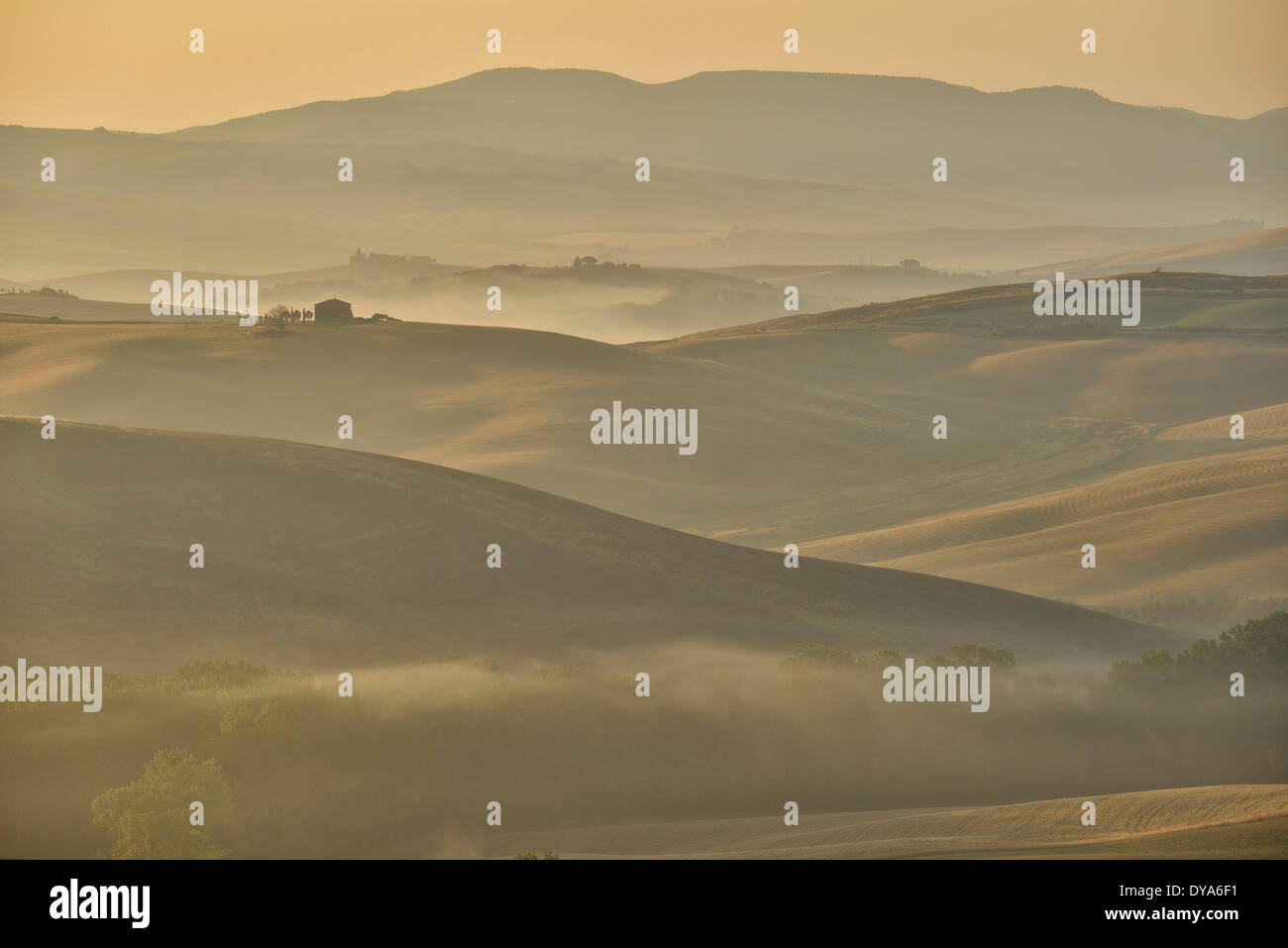 Europa Mediterraneo italiano italia Toscana provincia di Siena mattina presto umore nebbia nebbia nebbia mattutina alberi valle paesaggio co Foto Stock