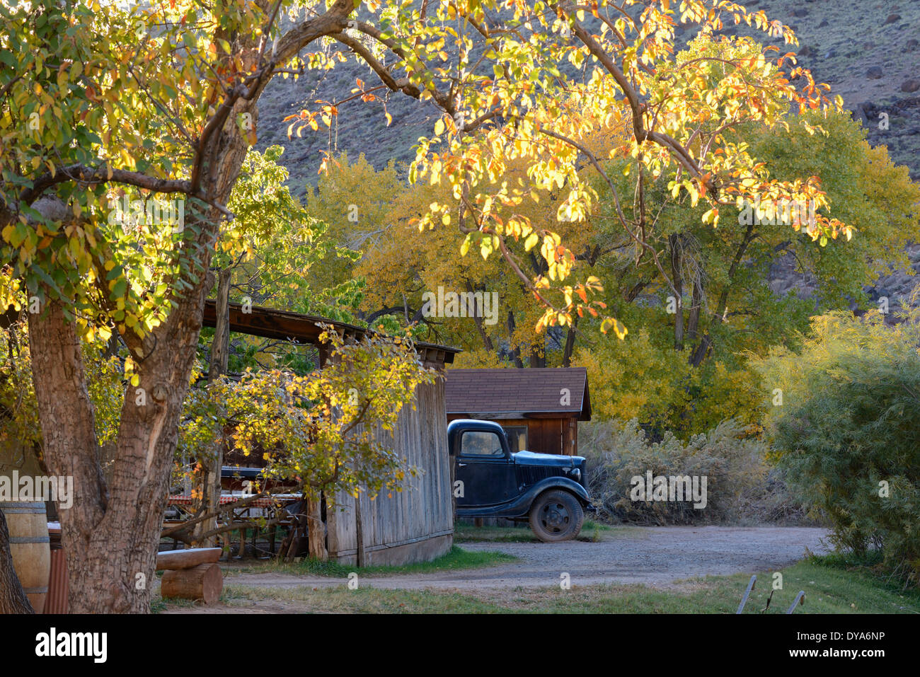Stati Uniti d'America, America, Stati Uniti Utah e Colorado Plateau, southern, Capitol Reef, fruita, vecchio, carrello, agriturismo, autunno, rurale Foto Stock