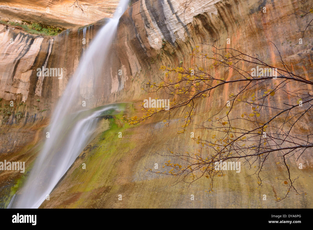 USA America Stati Uniti Utah Colorado altopiano meridionale del polpaccio inferiore Creek caduta Scalone Escalante National Monument wate Foto Stock