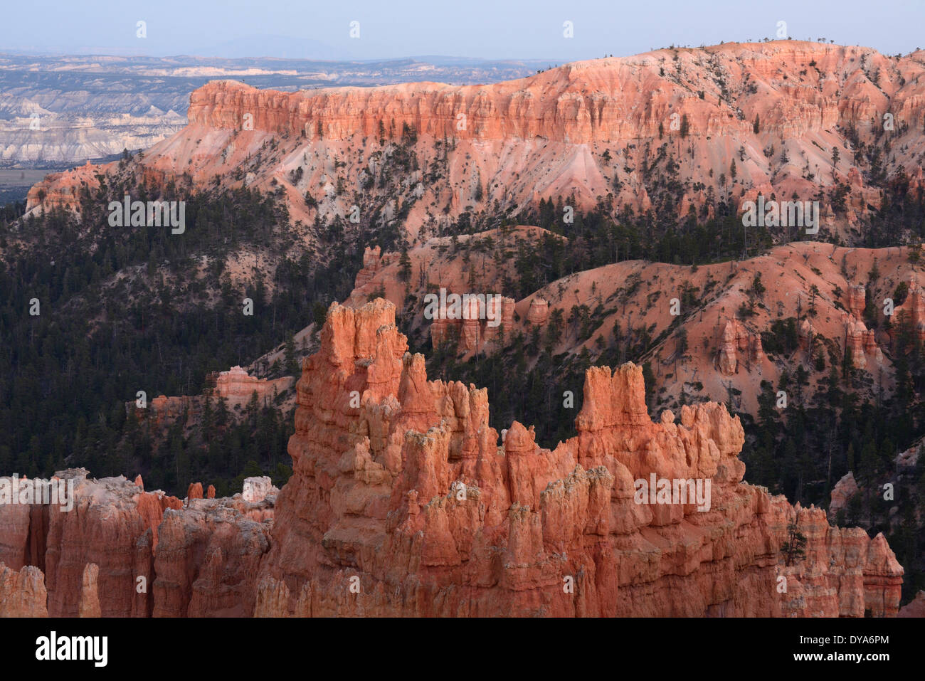 USA America Stati Uniti Utah Colorado Plateau Boulder meridionale del Bryce Canyon formazioni rocciose Rocks National Park formatio rock Foto Stock