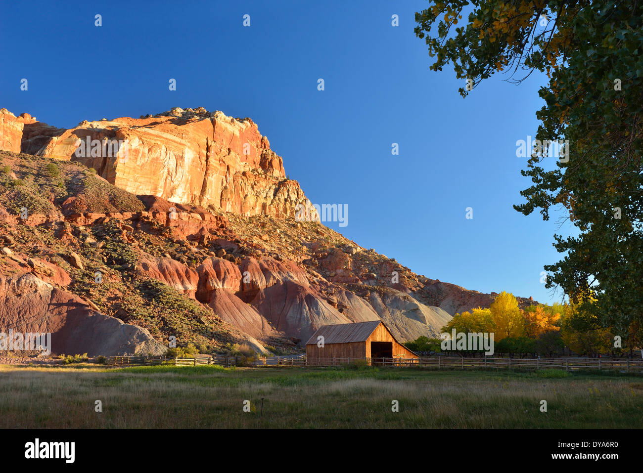 USA America Stati Uniti Utah Colorado altopiano sud del Parco nazionale di Capitol Reef fogliame Fruita carro farm scogliera di pascolo, Foto Stock