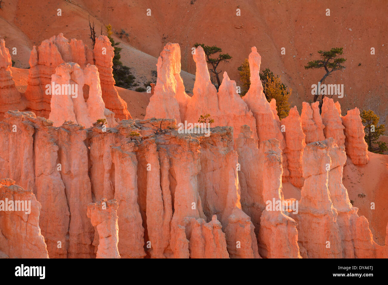 USA America Stati Uniti Utah Colorado Plateau Boulder meridionale del Bryce Canyon formazioni rocciose Rocks National Park erosione natu Foto Stock