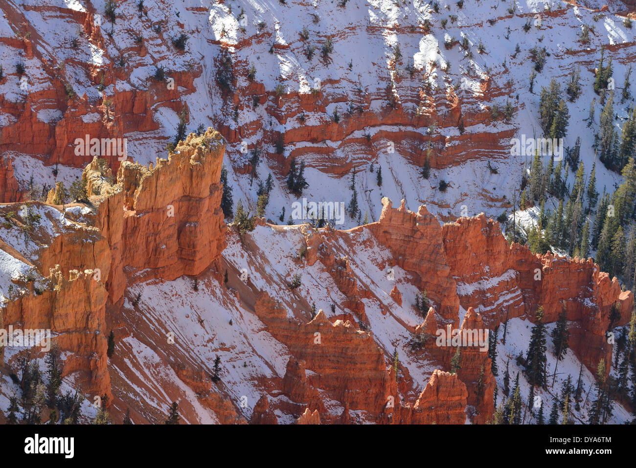 USA America Stati Uniti Utah Colorado Plateau southern Cedar Breaks National Monument canyon paesaggio erosione di natura non peo Foto Stock
