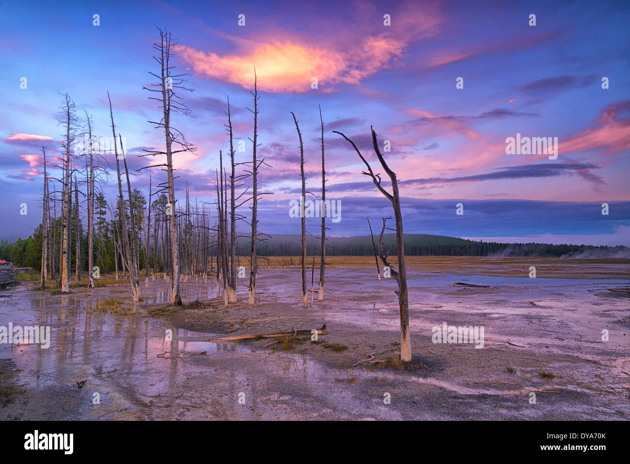 USA America Stati Uniti West Wyoming western Rockys Montagne Rocciose Yellowstone National Park patrimonio mondiale UNESCO geyser, Foto Stock