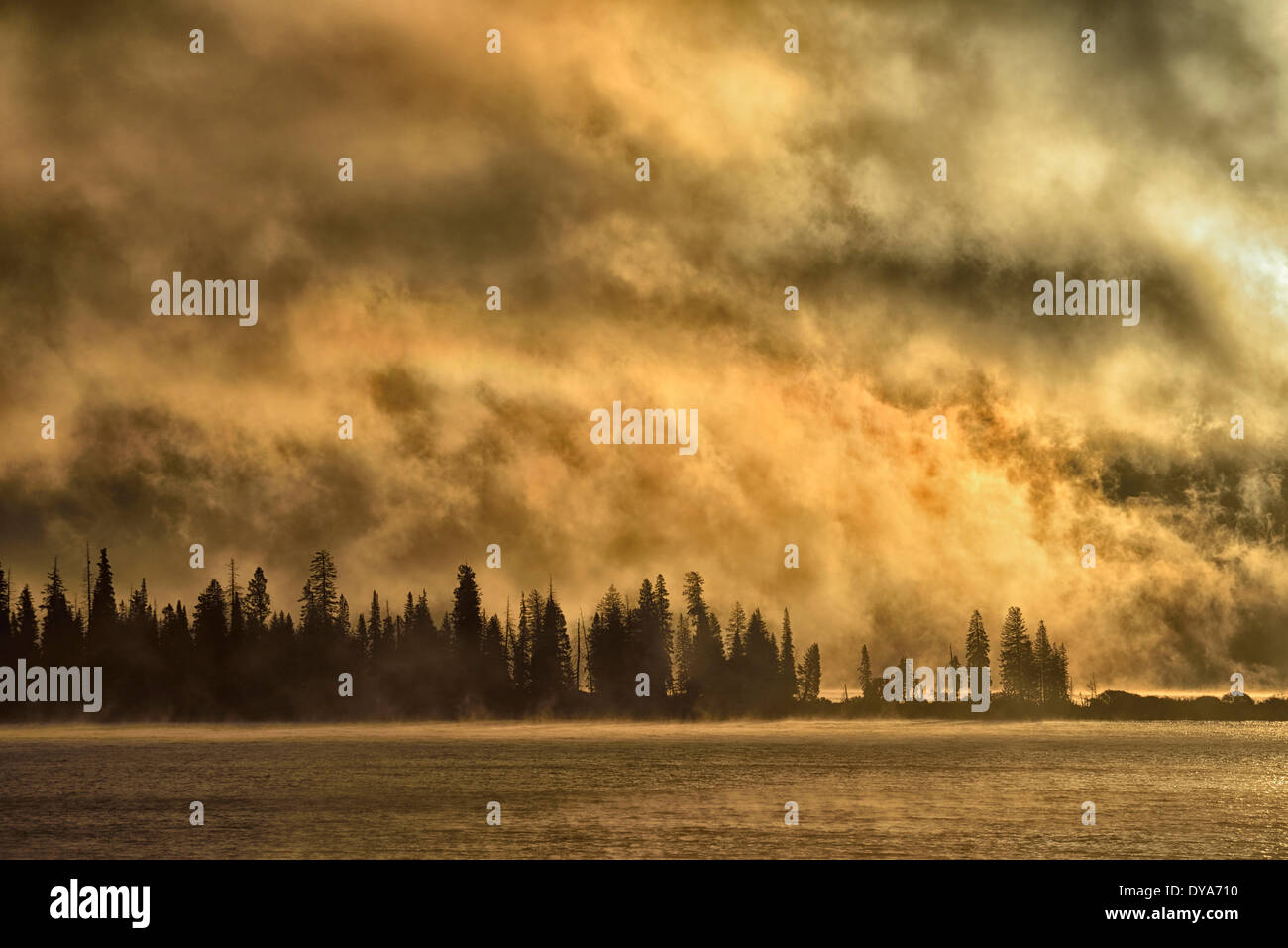 America del nord Stati uniti america stati uniti Wyoming Yellowstone National Park patrimonio mondiale UNESCO nebbia di mattina nebbia di lago di natura Foto Stock