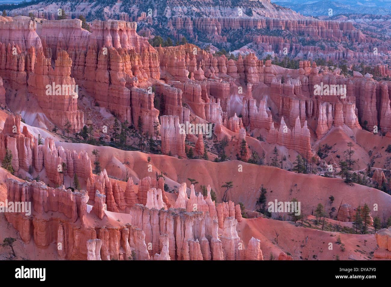 Utah USA America Stati Uniti canyon canyon del deserto secco Parco Nazionale di Bryce Canyon hoodoos UT pinnacoli di arenaria caduta gorge, Foto Stock