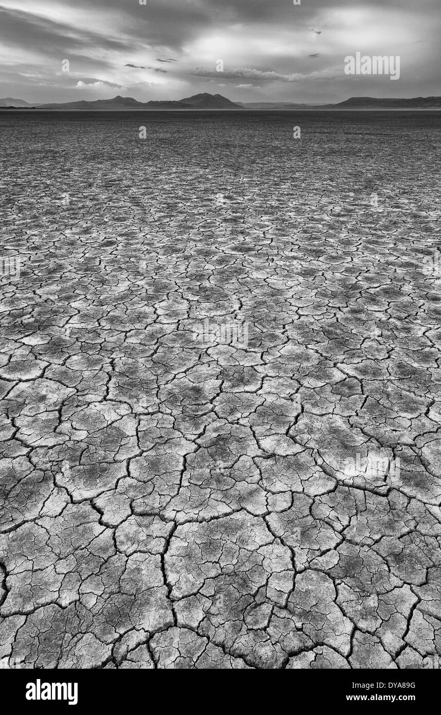 Alvord deserto playa hard pan cotto caldo secco Oregon o USA America Stati Uniti incrinata piatta forma della spaccatura e frastagliate e Foto Stock