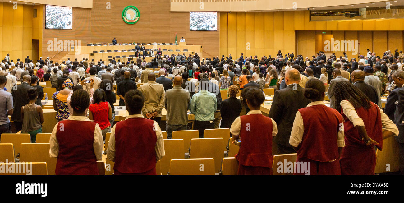 Etiopia ad Addis Abeba. 11 aprile 2014. I partecipanti del ventesimo anniversario commemorazione del genocidio in Ruanda stare a osservare un minuto di silenzio in AU Nelson Mandela Hall, il 11 aprile, 2014, in Etiopia ad Addis Abeba Credito: Dereje Belachew/Alamy Live News Foto Stock