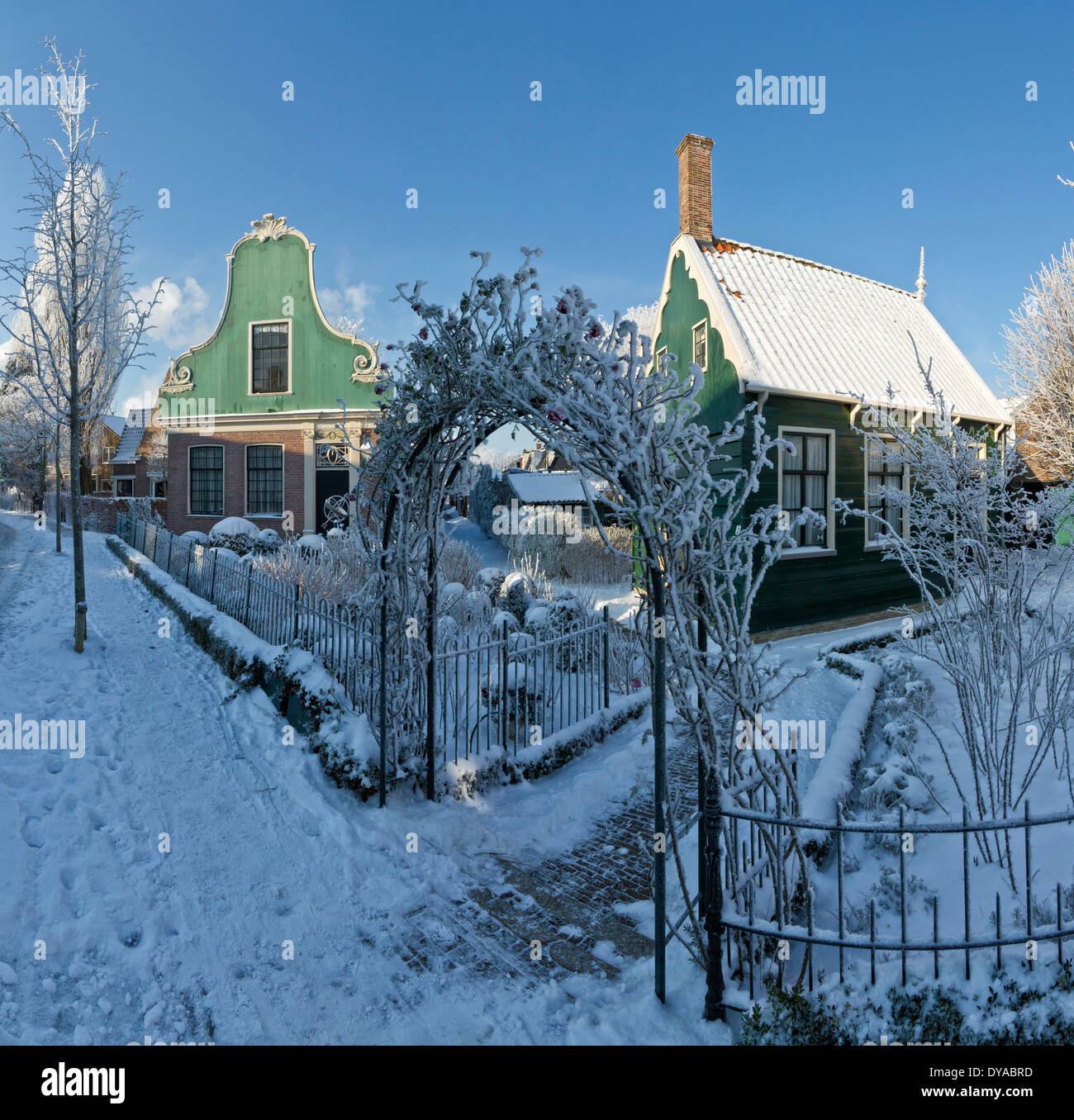 Paesi Bassi, Olanda, Europa Zaandijk, North Holland, città, villaggio, inverno, la neve, il ghiaccio, giardino, brina tipiche case in legno Foto Stock