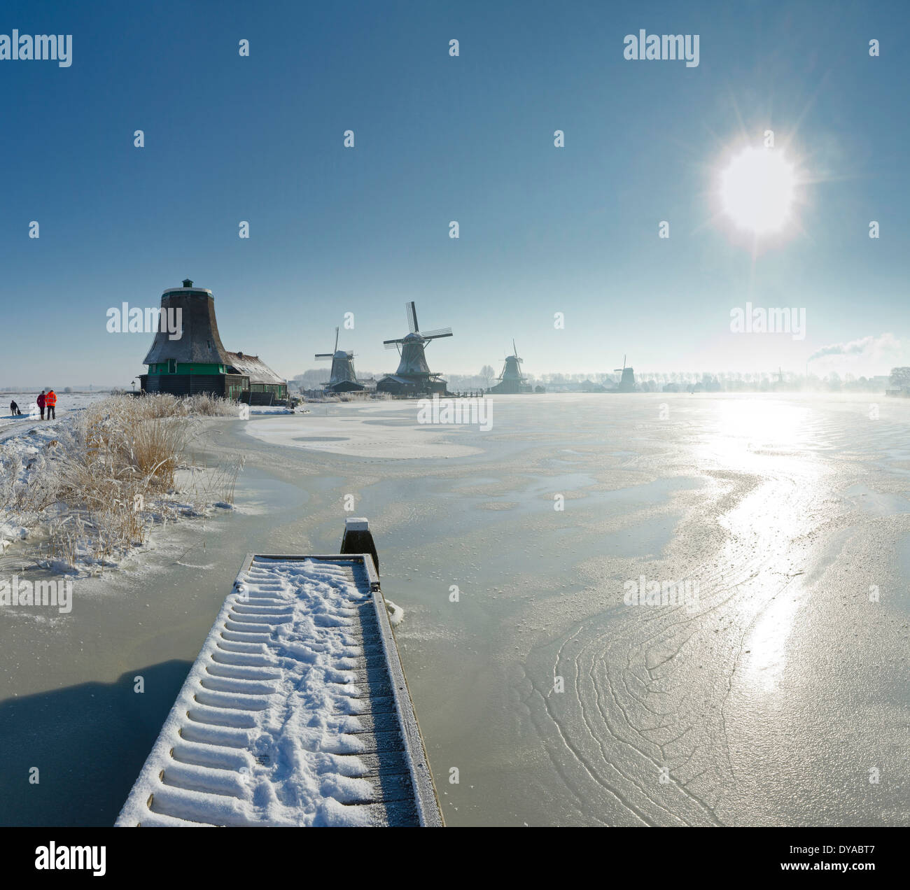 Paesi Bassi, Olanda, Europa, Zaandam, North Holland, mulino a vento, acqua, inverno, la neve, il ghiaccio, mulini a vento, congelate, sul fiume Zaan Foto Stock