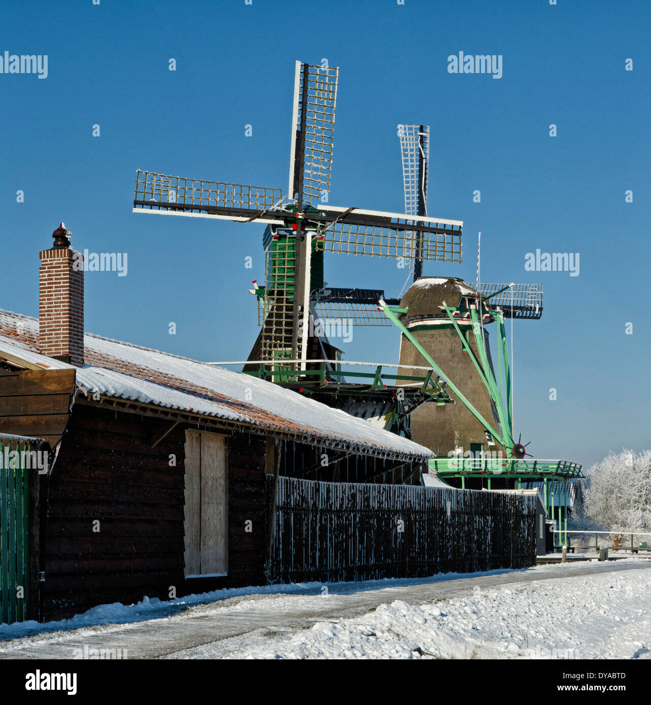 Paesi Bassi, Olanda, Europa, Zaandam, North Holland, mulino a vento, l'inverno, la neve, il ghiaccio, mulini a vento, sul fiume Zaan Foto Stock