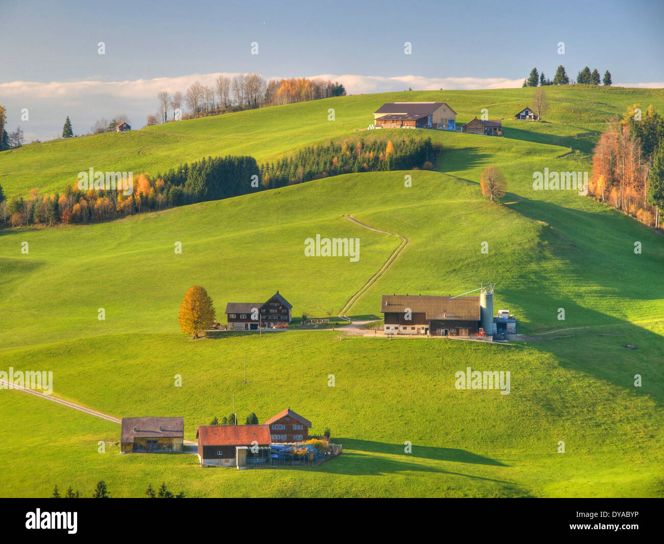 Appenzell, Svizzera, Europa, fattorie, alberi, colorato, autunno, paesaggio, paesaggio idilliaco, prati, agricoltura Foto Stock