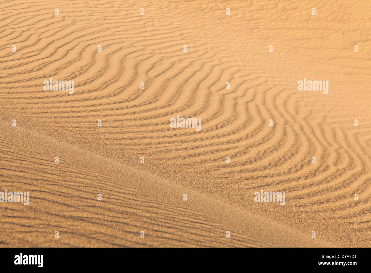 Le dune di sabbia di Mesquite piatto nella Valle della Morte nel deserto - California Foto Stock