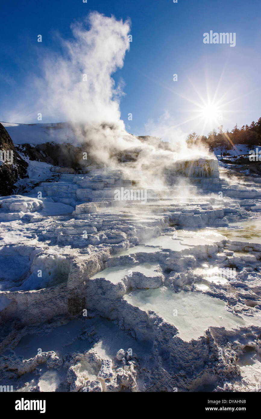 Molla di tavolozza, Mammoth Hot Springs, il Parco Nazionale di Yellowstone, STATI UNITI D'AMERICA Foto Stock