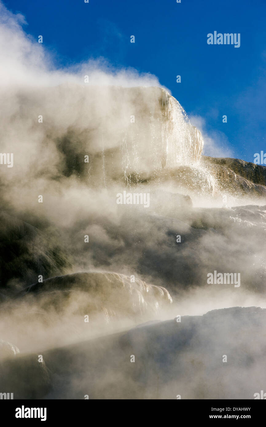 Molla di tavolozza, Mammoth Hot Springs, il Parco Nazionale di Yellowstone, STATI UNITI D'AMERICA Foto Stock