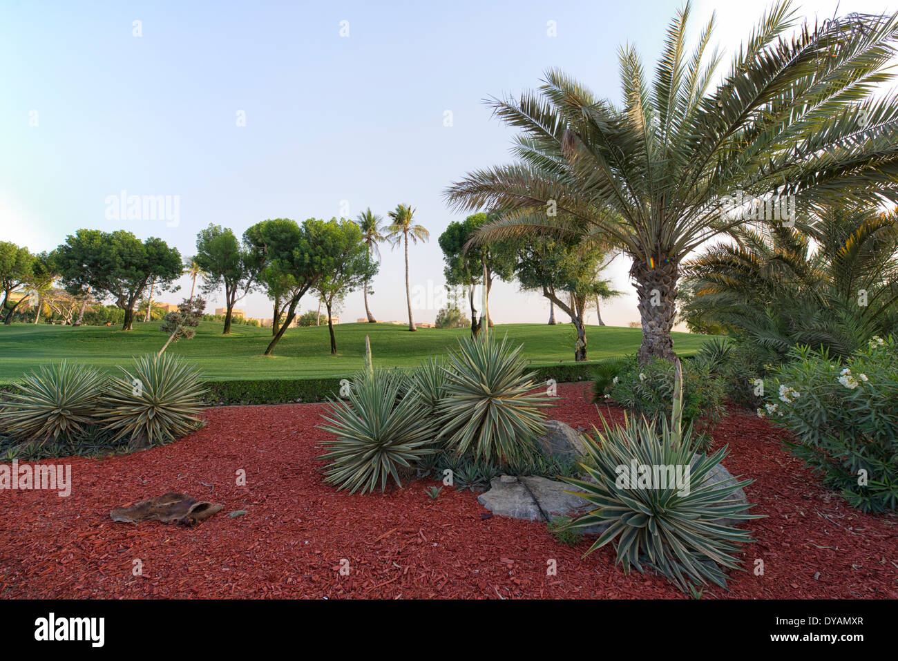 Immagine di Emirates Golf Club in Dubai EMIRATI ARABI UNITI Foto Stock