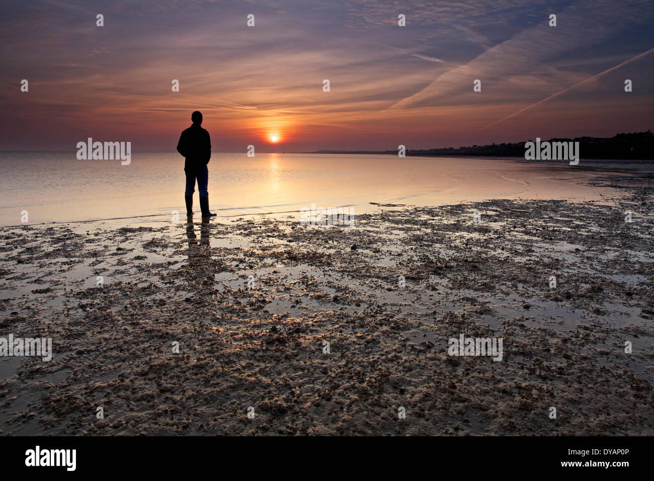 Whitstable, Kent, Regno Unito 12 aprile 2014: un colorato sunrise a bassa marea inizia il week-end di fine e clima secco con temperature fino a 15C previsioni su gran parte del paese. Whitstable è una popolare destinazione turistica in giorni come questi Foto Stock