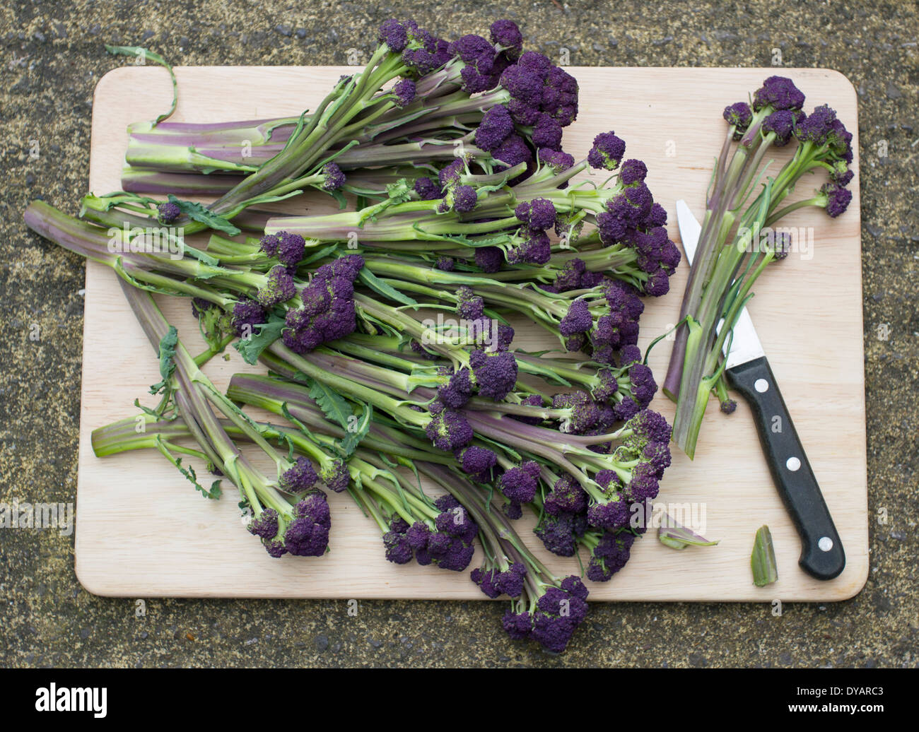 Viola broccoletti su un tagliere di legno con un coltello seghettato su una pietra grigia superficie Foto Stock